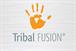 Tribal Fusion: extending its targeting efficiency with BlueKai tie-up
