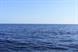 France currently has no offshore wind farms