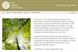 The Carbon Consultancy