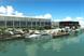Speedo names Forman's Fish Island as Olympic base