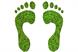 Sustainability: The search for a clearer footprint