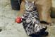 Cravendale 'Cats with thumbs'