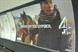 Big Fat Gypsy Weddings: poster campaign escapes investigation