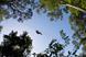 South Africa: six of the best sustainable event options