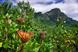 Cape Town: Cape of adventure