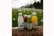 Innocent holds Nature Weekend at Center Parcs