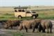 Nkomazi Game Reserve: South Africa's new venue developments