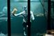 Aviva 'for the love of your home' by AMV BBDO