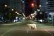 Nissan 'Leaf' by TBWA\Chait\Day