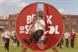 Tesco 'back to school' by The Red Brick Road