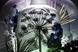 Tanqueray 'resist simple' by Wieden & Kennedy Amsterdam