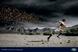 Land Rover 'play tough' by RKCR/Y&R