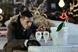 Stella Artois 'ice lounge' by Mother
