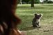 Specsavers 'koala' by Specsavers Creative