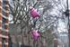 Quit 'Loony lungs' by Saatchi & Saatchi X