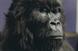 Cadbury Dairy Milk 'gorilla' by Fallon