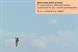 Financial Times 'essential' by DDB UK
