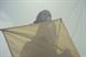 Sainsbury's 'kite' by AMV BBDO