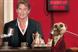 Comparethemarket.com 'Hasselhoff meerchat' by VCCP