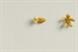 Rice Krispies 'the little fish who loved the stars' by Leo Burnett London