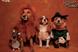 BBC 1 'Wizard of Dogz' by Saint / RKCR