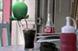 Coca Cola 'bird's nest' by Wieden & Kennedy Amsterdam