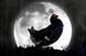 Black Grouse 'stormy night' by AMV BBDO
