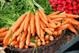 A Unique Child: Nutrition - How to make the most of ... Carrots