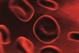 A Unique Child Health: A guide to ... Leukaemia