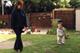 A Unique Child: Practice in pictures - Outdoors: On the ball