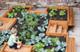 Nursery Management: Case Study - Child First Nurseries