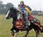 Learning & development: The knight and his lady Learning & development: The knight and his lady
