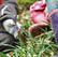 Enabling Environments: Forest school diary - spring is here Enabling Environments: Forest school diary - spring is here