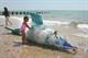 Learning and Development: Ecology - Put to sea Learning and Development: Ecology - Put to sea