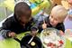 Photos at Ford Road Community Nursery by Justin Thomas Photos at Ford Road Community Nursery by Justin Thomas