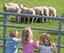 Business development: Children experience the good life for real Business development: Children experience the good life for real