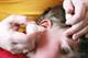 A unique child: Health - A doctor's diary ... earache A unique child: Health - A doctor's diary ... earache