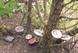 Enabling Environments: music and language outdoors Enabling Environments: music and language outdoors