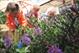 Enabling Environments: Sensory Gardens Enabling Environments: Sensory Gardens