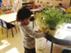 Westminster university to close nurseries Westminster university to close nurseries