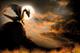 Enabling Environments: Let's explore ... dragons Enabling Environments: Let's explore ... dragons