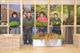 Writtle College team prepares its grow your own themed Chelsea Flower Show garden - image: Writtle College