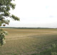 Hanley Grange