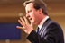 Summit attendee: David Cameron