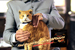 Mars-Wrigley... awards £80m media buying to ZenithOptimedia