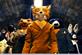 Virgin Media: online movies launch offering to include Fantastic Mr Fox