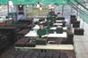 Alba Trees: 32 staff employed at the purpose-built nursery. Image: Alba Trees