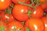 Fresh produce: US survey suggests introduction of GM has increased pesticide use. Image: HW