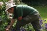 Saturation of the gardening market can harm those who are trained and experienced - image: HW