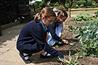 Park-based lessons as local school children work on "cross-curricular" projects and can take their produce home - image: HW